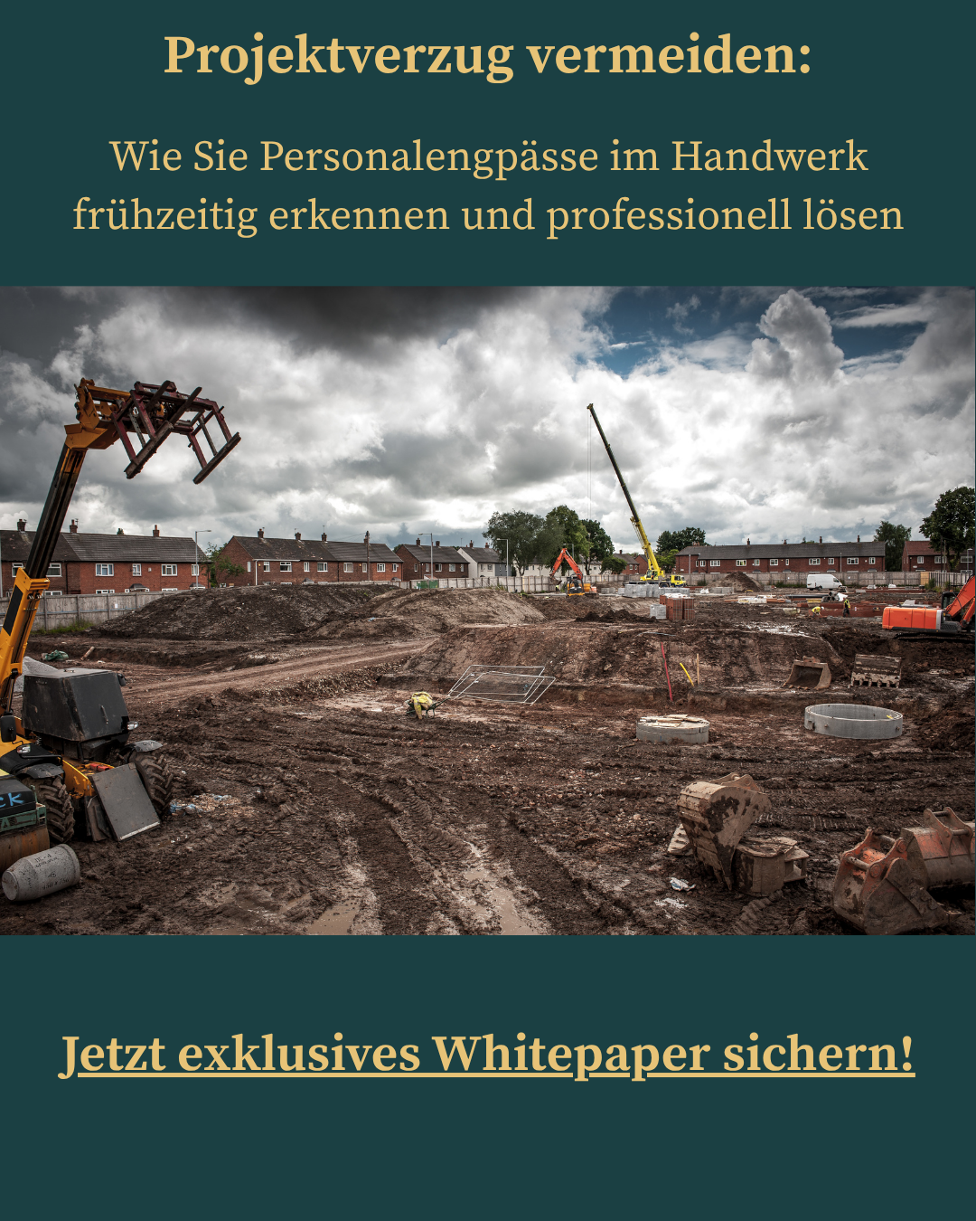 website-whitepaper